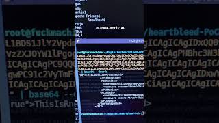 HeartBleed Vulnerability — CVE-2014-0160