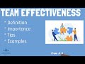 Business School 101: Team Effectiveness Quiz