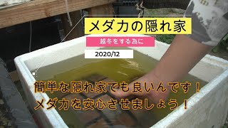 メダカ 越冬するためのメダカの隠れ家 Youtube