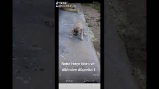 Murat Kantar Baba Hırço Ile Nazlı Ve Dibinden Dusen Yavrular 1 0551 - 978 - 01 - 43