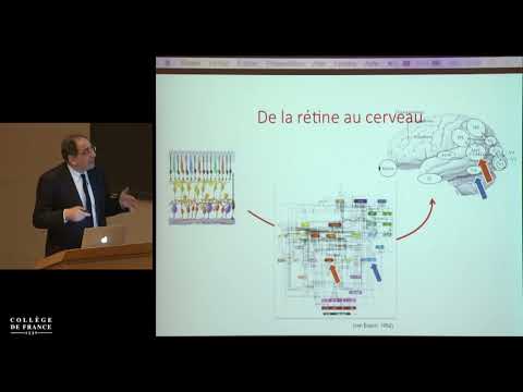 Voir encore. La restauration visuelle en perspectives (1) - José-Alain Sahel (2015-2016)