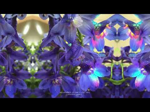 Hayden James - Beginnings (Flume's Lost Mix)