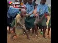 Likee video desi @trending dance on nagin tune full comedy video ... Comedy video 😄😄😃😃😀😀😀😀