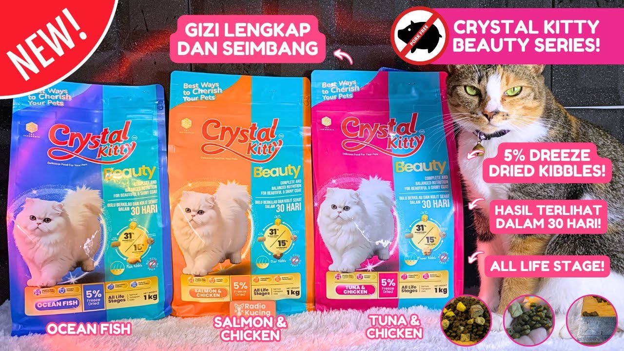 INI DIA DRY FOOD UNTUK MENJAGA KESEHATAN BULU DAN KULIT KUCING!😻✨  | Radiokucing 