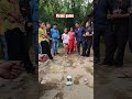 "Children's Picnic Games Gone Wild!😄🥰 #fun #picnic #shortvlog #shorts