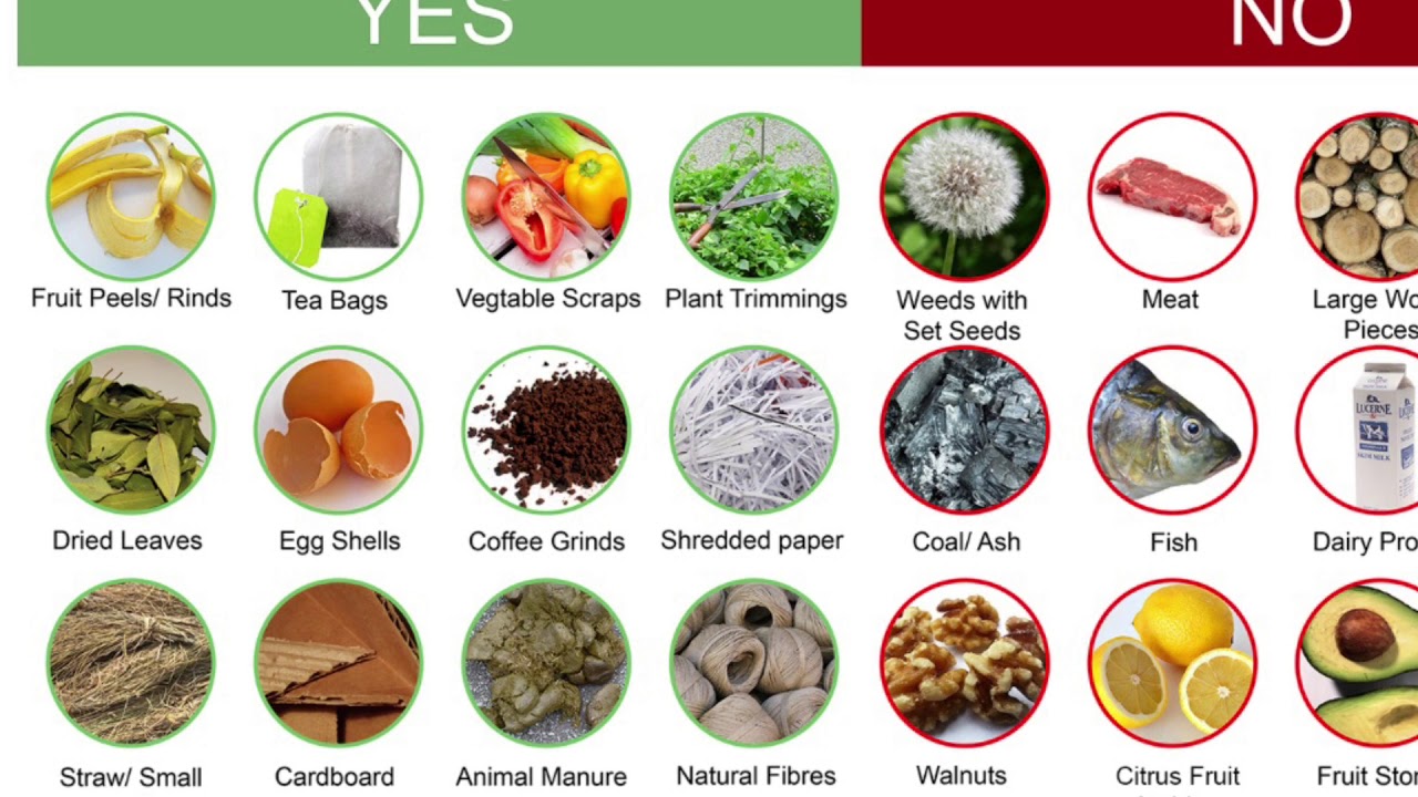 Pollution Due to Food Waste & What YOU Can Do to Help Prevent It - by