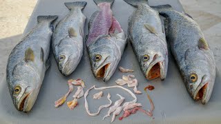 حقيقة وجود الديدان في الأسماك... امسك الطباخ النظيف (سمك السلمون المرقط)