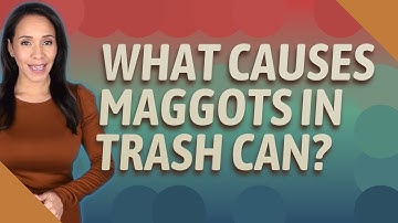 What causes maggots in trash can?