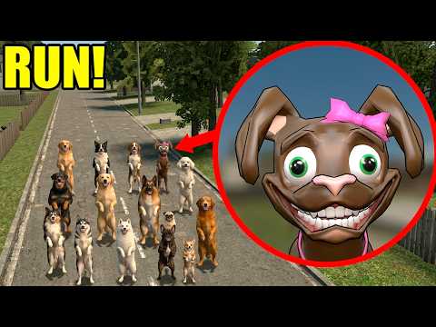 IF YOUR DOG IS SMILING LIKE THIS.. RUN!