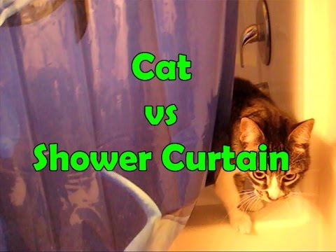 Cat Shower Freak Out - Funny Cat vs Shower Curtain - YouTube