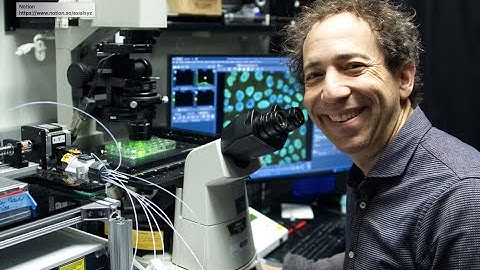 Scientist Stories: Michael Elowitz, Life at the Single Cell Level
