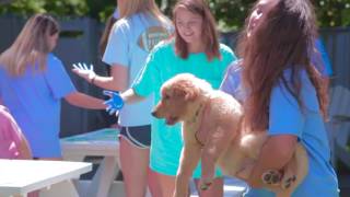 UNC Phi Mu Recruitment 2017