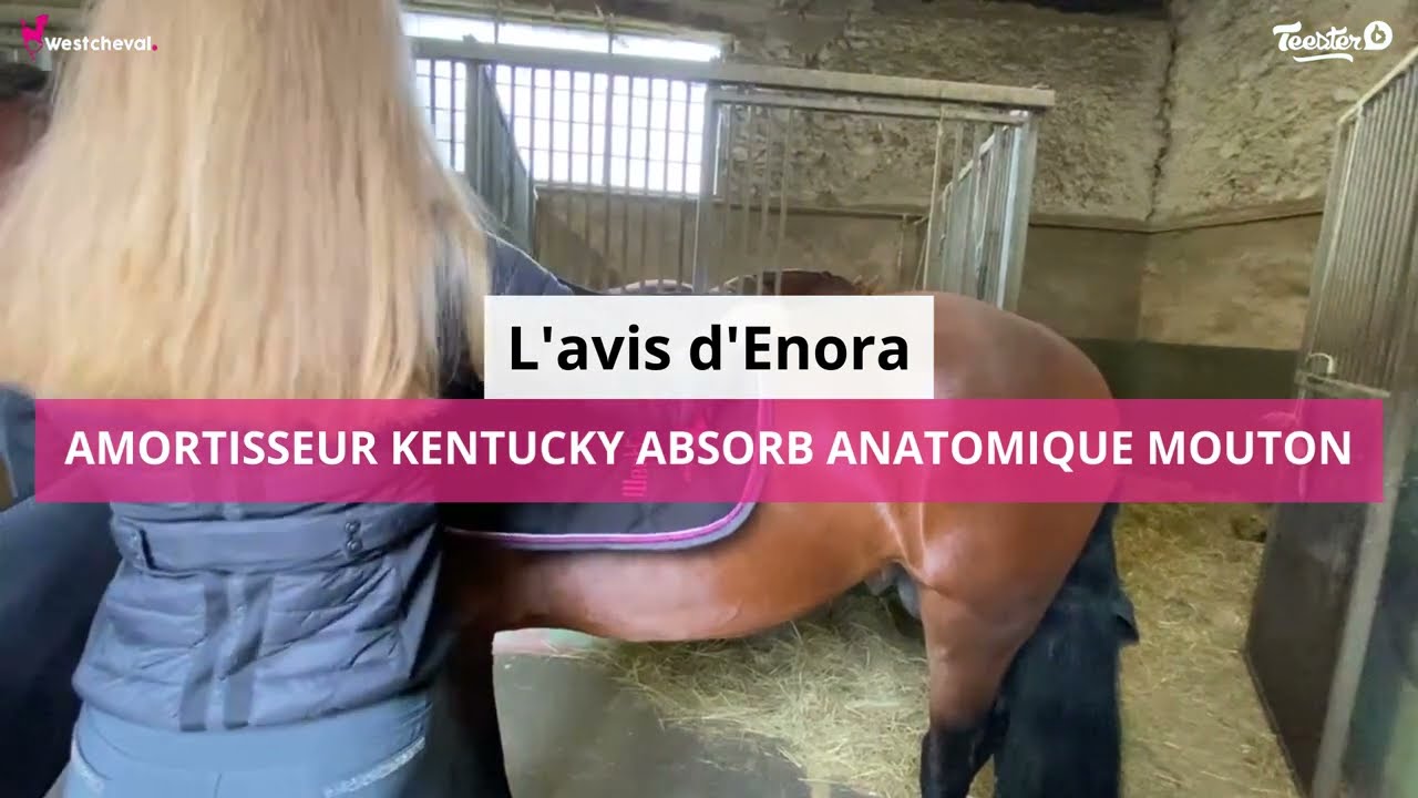 Amortisseur Anatomique Kentucky Absorb Noir Mouton Naturel - Protection Dos Cheval Fine 2,5 Cm