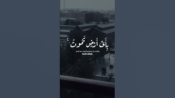سورة لقمان - اسلام صبحي #اكسبلور #قران_كريم #حالات_واتس #quran #راحة_نفسية #اسلام_صبحي