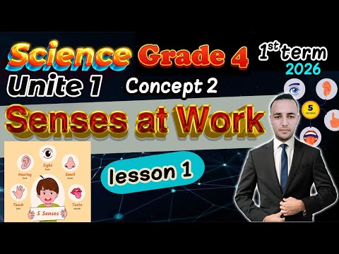 Senses At Work Concept 2 Lesson 1 Science Grade 4 First Term 2026 Senses At Work Concept 2 Lesson 1 Science Grade 4 First Term 2026