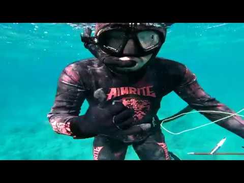 SPEARFISHING IN OKINAWA, JAPAN   1 Pot Recipe Catch and Cook