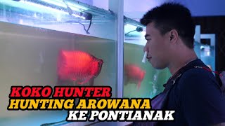 88 RED GALLERY HUNTING AROWANA KE PONTIANAK