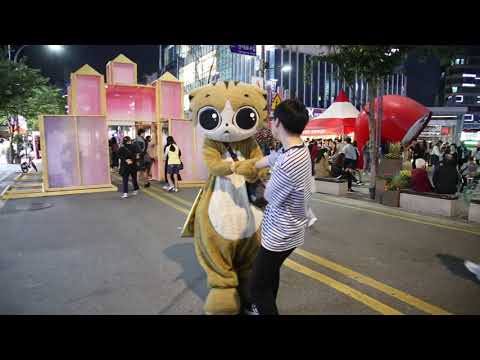 JHKTV] 신촌 명물고양이내가 댄스왕이야  shin chon special <strong>cat</strong> I&amp;#39;m the dance <strong>king</strong>