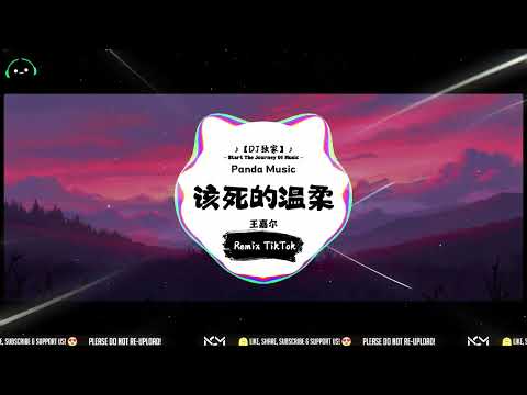 王嘉尔 - 该死的温柔 (抖音DJ版) Wang Jia Er - Gai Si De Wen Rou『你这该死的温柔，让我心在痛泪在流。』【動態歌詞｜Vietsub｜Pinyin Lyrics】