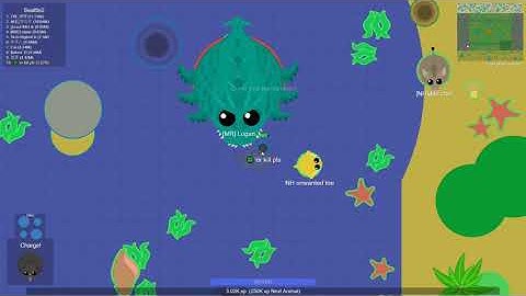 0 Xp Black Rhino And Black Rhino Kills Black Dragon Mope io