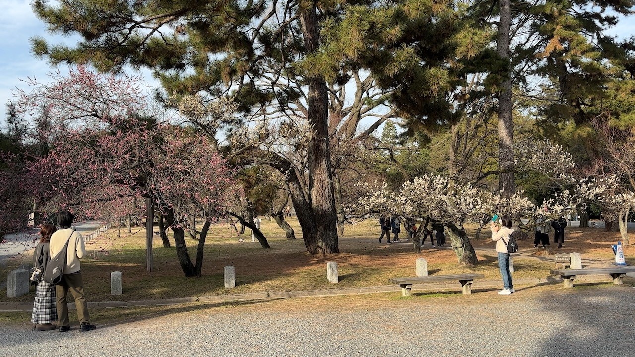 Kyoto Gyoen National Garden 2026 Feb 14