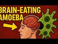 Brain-Eating Amoeba Explained | || Naegleria Fowleri Infection 