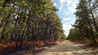 Driving the Washington Pike, Pine Barrens, NJ, October 17, 2022