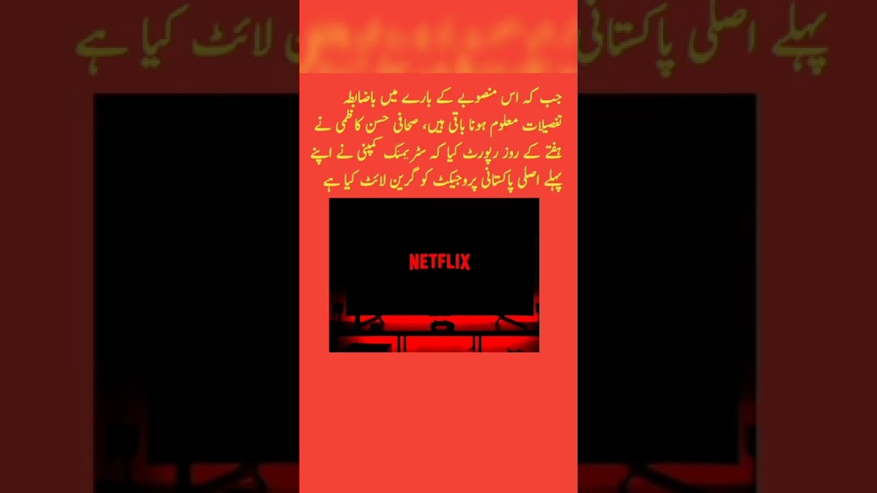 Netflix has reportedly approved its first ever original web series from Pakistan 