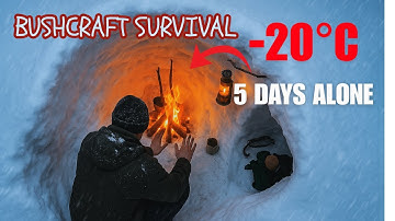 Trapped in a Deadly -20°C Snowstorm | Solo Bushcraft Survival in Deep Wilderness