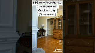 Ssg Amy Rose Got Gone Wrong - Talon-Tal