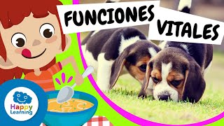 🧠 ¡Aprende LAS FUNCIONES VITALES! | Vídeos Educativos para Niños de PRIMARIA |@HappyLearningES