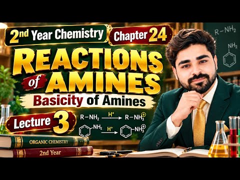 Reactions of Amines | Basicity of Amines | Lecture 3 | Chapter 24 | 2nd Year Chemistry