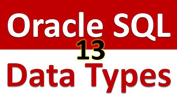 Oracle SQL Developer Tutorial For Beginners  13   Data Types