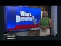 What's Brewing - Historic Valdosta Annual Dinner