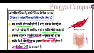 @PragyaCampus#Muscular Tissues#Pragya #indian #0103