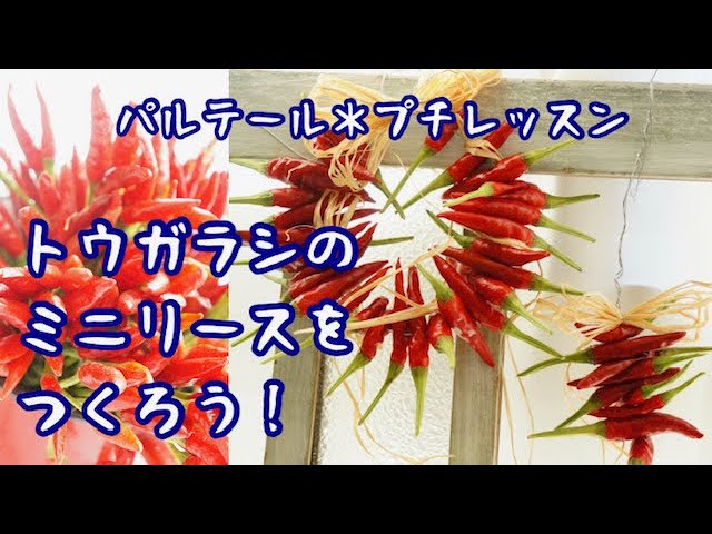 トウガラシのミニリースをつくろう！」#プチレッスン #花屋 #まいにち