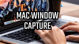 How to Create a Screenshot of a Specific Window on a Mac | Quick Tip