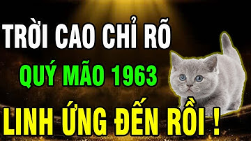 Quý Mão 1963–Cuộc đời khổ vì có căn Trả Nghiệp, nhưng Hậu vận là Đại phúc nếu biết sớm 7 điều này