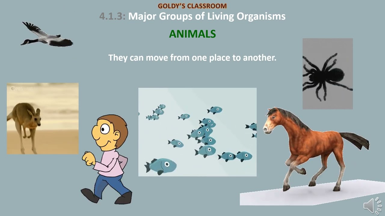 Plants & Animals | Major Groups of Living Organisms