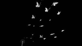 Soundgasm - sped up (TikTok remix)