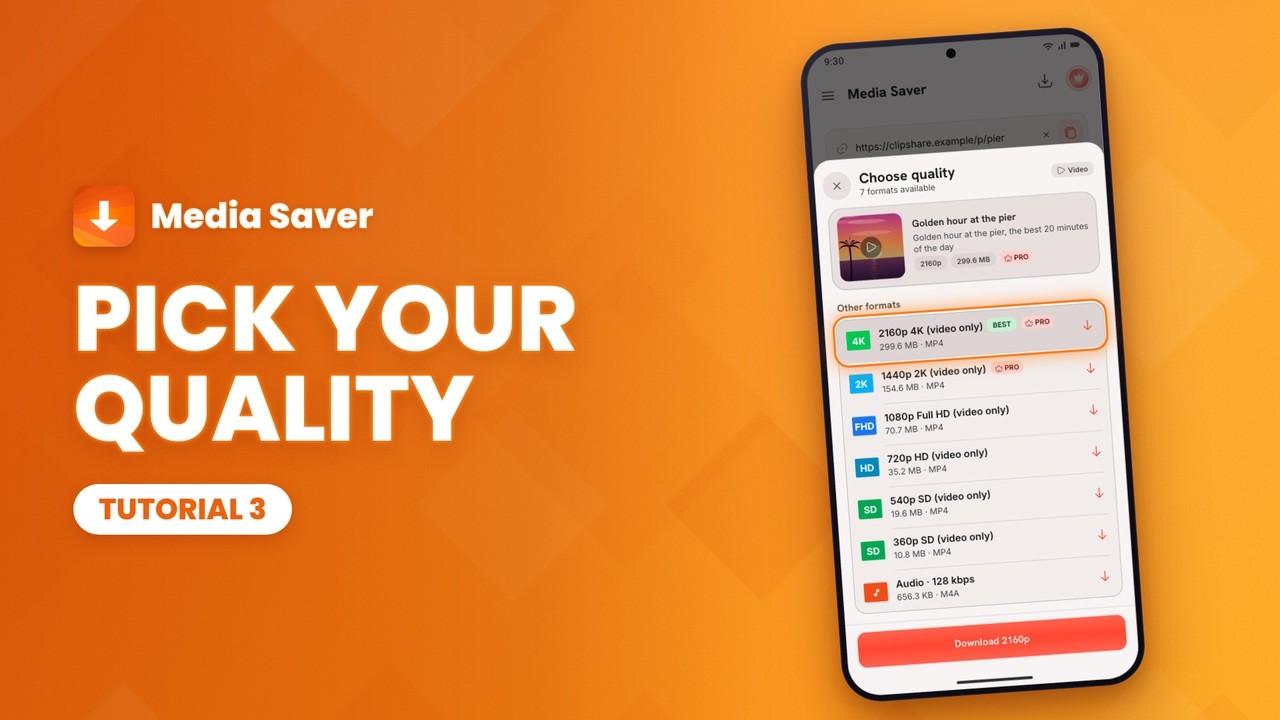 Media Saver tutorial 3: Choose quality and format