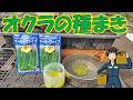 【オクラの種まき】種が硬いので水に浸してから蒔きます。