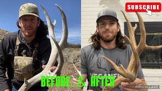 DIY Antler Restoration. Super Chalk Transformation!