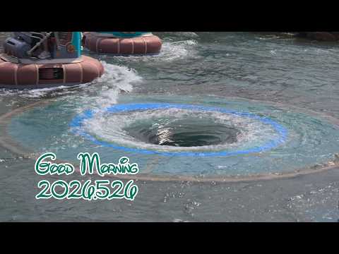 Every Morning 30sec Disney 2026.5.26