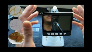 Cheap 1000x digital microscope in depth review (for biology)