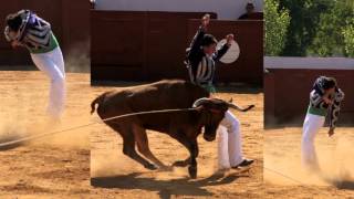 GUILEM'S JOURNEY : 14 - MORLANNE ARENAS