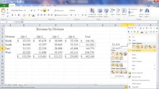 Introduction to Paste Special Tools - Beginner Spreadsheet Tutorial 31
