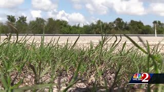 FHP: Man killed in Titusville hit-and-run, charges pending against driver