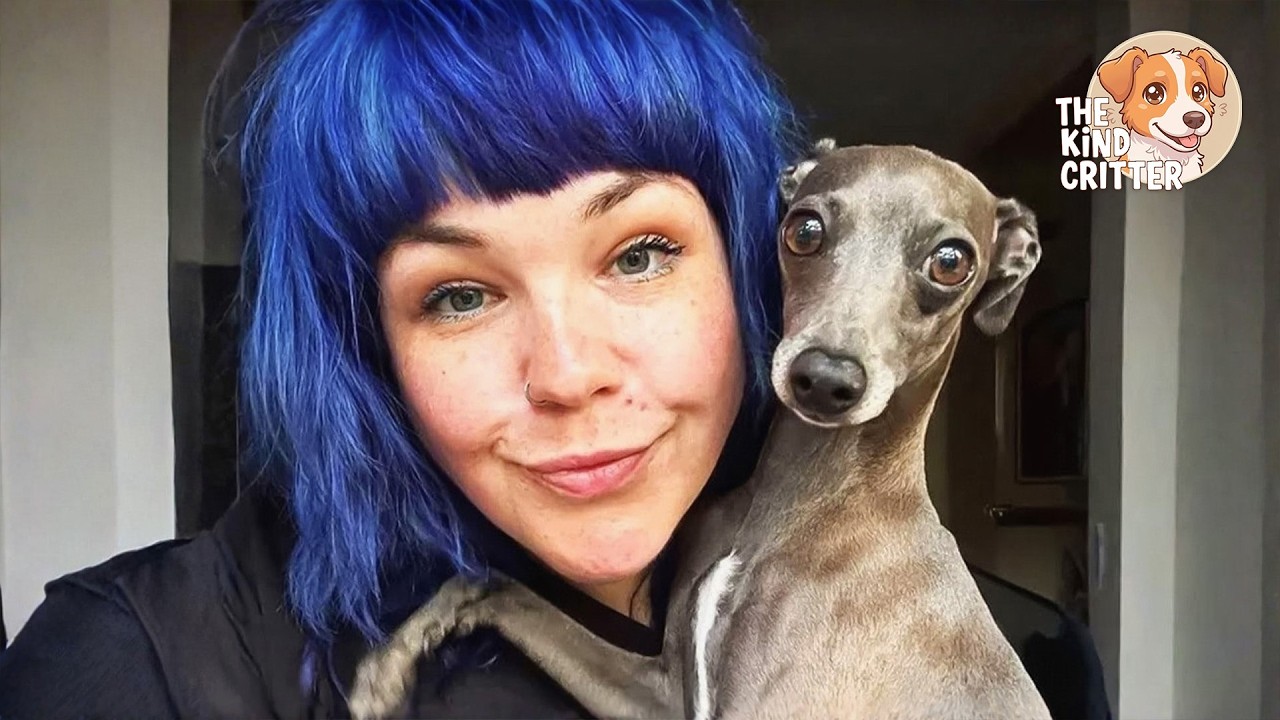 Pgssb This Italian Greyhound Never Stops Talking… Here’s Why - YouTube