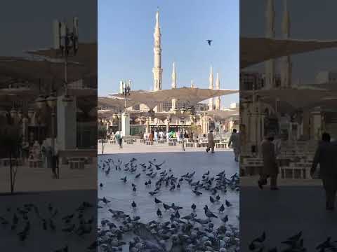 Jumma Mubarak Madinamadina 